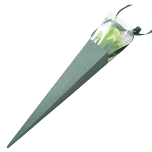 Rose Box Green | Single Rose Packaging